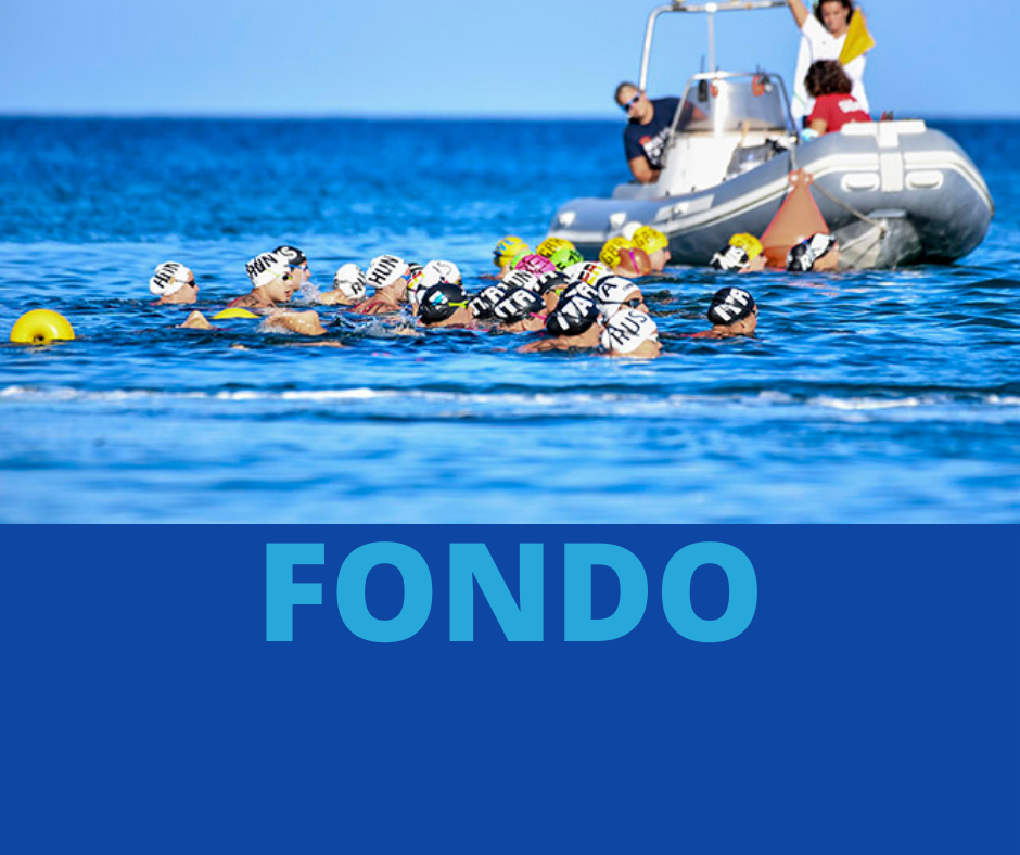 fondo